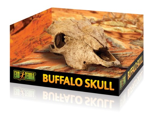 Exo Terra Buffalo Skull Terrarium D