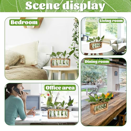 Glass Plant Propagation Station with 5 Test Tubes Colorful Planter Vase Birthday Gifts for Women in Wooden Stand - color: Green