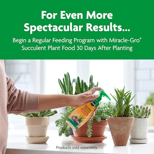 Miracle-Gro Cactus, Palm & Citrus Potting Mix, 8 qt. - size: 1-Pack