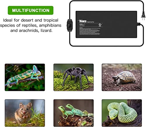 iPower 8 by 18-Inch Reptile Heat Mat with Temperature Adjustable Controller Knob, LCD Digital Aquarium Thermometer, Under Tank Warmer Terrarium Heat Pad for Reptiles and Amphibians - size: 8 X 18 Inch, style: Pad with Adjust Knob+ Thermometer
