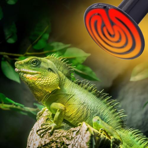 Aiicioo 150W Black Ceramic Heat Emitter 2Pack No Light Heat Bulb for Reptile Emitting Heat Lamp Bulb for Bearded Dragon Lizard Tortoise Turtle Snake Brooder Coop