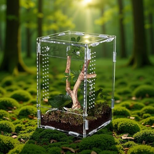 Acrylic Reptile Habitat – Escape-Proof Front Opening, 20x12cm Clean, Transparent View, Ventilated Design | Enclosure for Jumping Spiders, Observation, Home, Bedroom, Living Room, Office, Pet Store