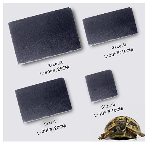 OMEM Turtle Reptile Rock Food Plate Grinding the Nail (M) - size: M