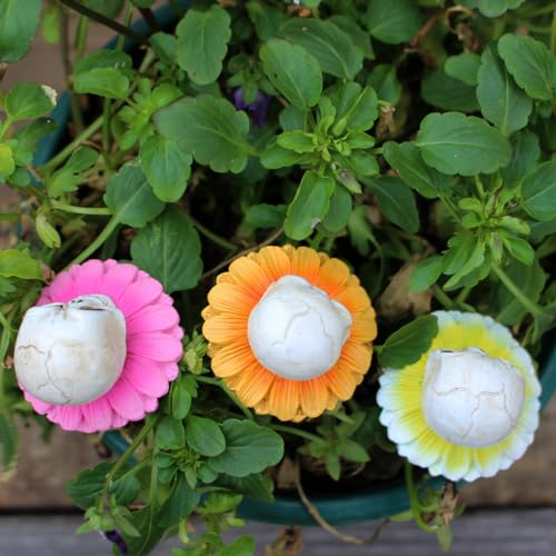 Resin Daisy Flower Skull Head Statue Plant Stakes Set of 3, Skull Garden Plant Accessories, Decorative Plant Picks, Indoor Outdoor Halloween Planter Pot Decorations Bonsai Crafts