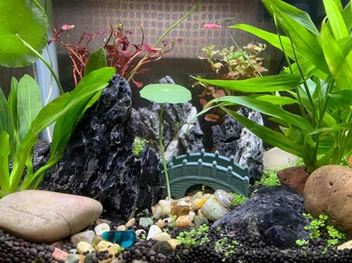 Unocho Seiryu Stone Aquarium Rocks 40lb Natural Fish Tank Rocks for Aquascaping Garden Landscaping Decoration Paludarium Amphibian Enclosures(3-12 Inches) - size: 40LB(3-12 inches)