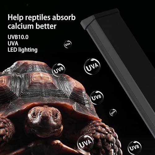 UVB & UVA Light for Reptiles, Dimmable LED Full Spectrum Sunlight Lamp with 3 Lighting Modes, 4/8/12H Timer for Tortoise, Gecko, Bearded Dragon, 8W Reptile Lamp, 8IN - size: 8IN