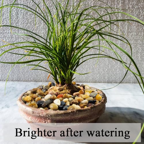 FANTIAN 40 lbs Aquarium Gravel, 2/5 Inch Pea Gravel for Fish Tank, Decorative Rocks for Freshwater Tank, Outdoor Pond, Garden Landscaping, Terrarium, Soil Drainage - size: 2/5 Inch
