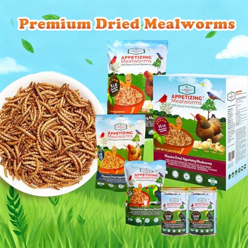 Amzey Dried Mealworms- 3.5 oz(2 Pack)- High Protein Non GMO Mealworms - Great for Turtle Food, Bird Food, Cockatiel Food, Lizard Food, Snake Food, Iguana Food, Sulcata Tortoise Diet- 3.5oz (2 Pack) - size: 7 Ounce (Pack of 1)