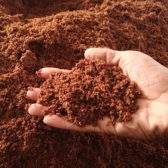 Cocopit, Coco Coir Growing Medium Block, Compressed Coconut Fibre Substrate for Plants