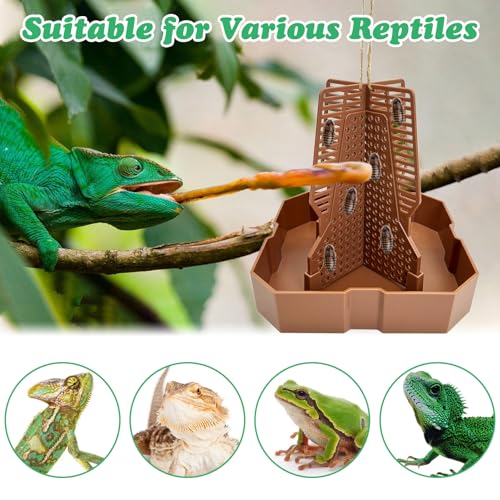 2PCS Reptile Hunting Bowl,4.4"×4.4"×4.7" H Insect Feeding Box with Rope and Tweezers Chameleon Feeder Bowls Hanging Bearded Dragon Bug Bowls Mounted Insect Reptile Feeder Box(Brown, Small) - color: Brown, size: Small:4.4"L×4.4"W×4.7"H