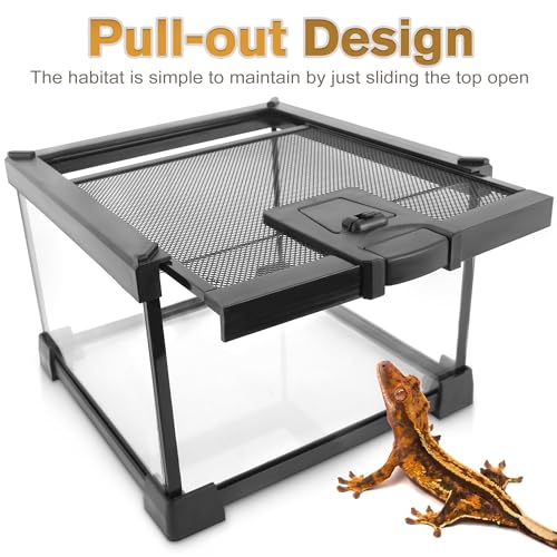 12"x8"x8" Reptile Terrarium, Escape-Proof Glass Terrestrial Vivarium for Hatchling Snakes Such as Corn Snakes, with Escape-Proof Lock & Feeding Hatch - size: 12"D x 8"W x 8"H