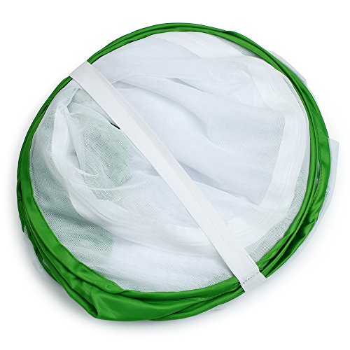4 Feet Extra Large Monarch Butterfly Habitat, Giant Collapsible Insect Mesh Cage Terrarium Pop-up (White + Green, 28 x 28 x 48 Inches) - size: 28 x 28 x 48 Inches