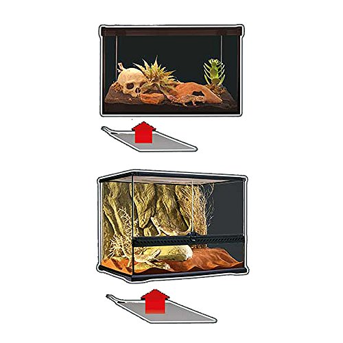 Exo Terra Heat Mat - Reptile Terrarium Substrate Heater for Safe, Even Heating | Ideal for Tropical & Temperate Reptile Environments - 4 Watt, X Small - size: X-Small
