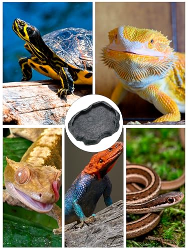 Tortoise Water Dish, 7.1 * 5.5 * 0.8in Reptile Water Dish, Reptile Food Dish Suitable for the Feeding and Watering Needs of Various Pets(0.6 in deep)