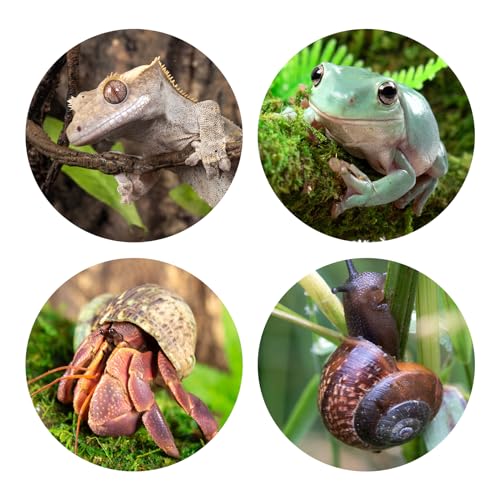 REPTI ZOO Reptile Hide, Multifunctional with Suction Cup, Resin Reptile Hides, and Caves for Reptiles, Gecko, Lizard (Ganoderma Lucidum Shape)