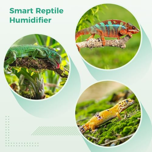 Reptile Tank Misting System with Smart Timer, 360° Rotating Nozzles & Touch Control, Ideal for Rainforest Environments