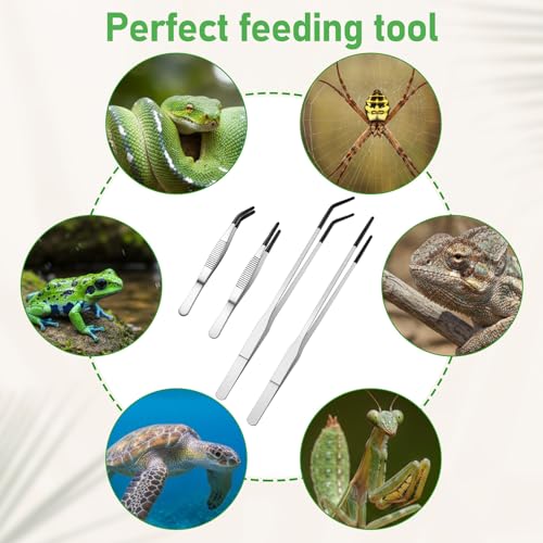 Reptile Feeding Tongs Long Tweezers,4 Pack Stainless Steel Feeding Tongs 10.6" Straight & Curved Tweezers with Soft Rubber Tip Terrarium Supplies for Aquarium Crafts Tank Accessories