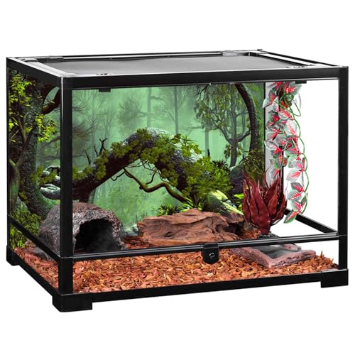 AWERT 72x24 inches Foggy Forest Terrarium Background Stone Green Tree Tropical Reptile Habitat Background Rainforest Aquarium Background Durable Polyester Background - size: 72x24in/180x60cm