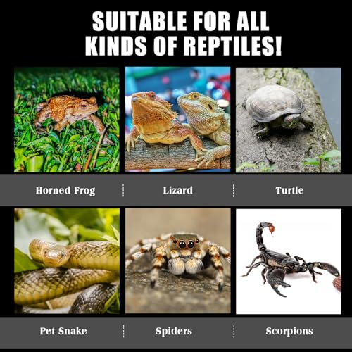Suzile Jumping Spider & Tarantula Enclosure - Reptile & Hermit Crab Tank - Micro Habitat (3.5 x 3.5 x 3.7'')