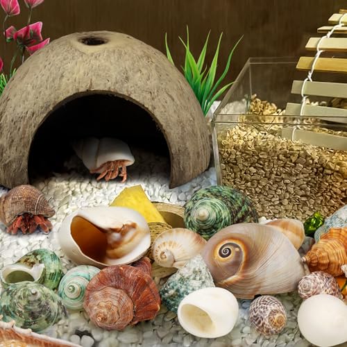 QUOZUO Hermit Crab Shells - Natural Coconut Shell Hut with Artificial Plants, Seashells for Crab Tank Hideouts - 22 PCS
