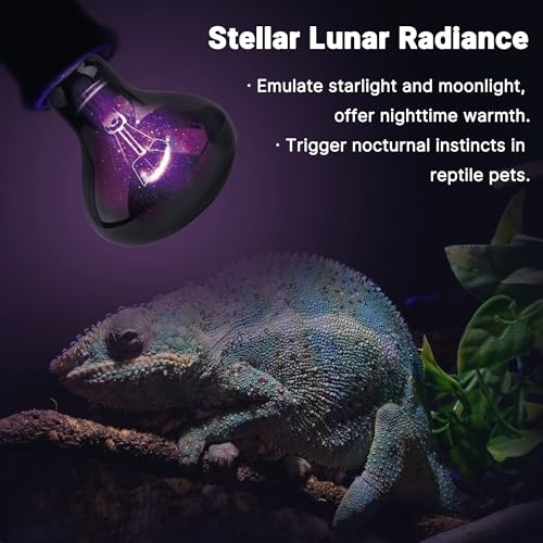 R80-100W Reptile Night Light Bulb, UVA Heat Lamp - Simulate Natural Moonlight, Purple Basking Lamp, 2000 Hours lifespan - color: Purple-moonlight Heat Lamp, size: 100 Watts