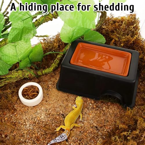 Hamiledyi Reptile Plants Bendable Jungle Climbing Vine Terrarium Branch and 4 Pcs Humid Hide for Leopard Gecko Moist Reptile Hide Box for Bearded Dragon Lizard Gecko Frog Snake