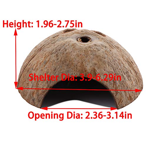 2 Pack Spider Coconut Shell Shelter, Hermit Crab Hideout, Lizard Hiding Cave, Turtle Rest Hut, Fish Tank Aquarium Decoration