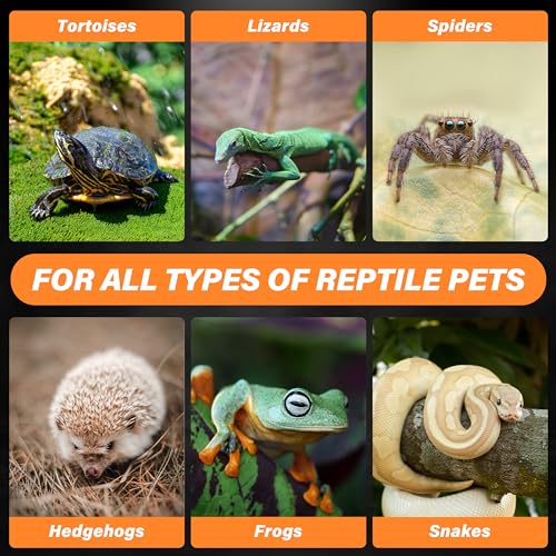 Simple Deluxe 75W Ceramic Heat Emitter Reptile Heat Lamp Bulb No Light Emitting Brooder Coop Heater for Amphibian Pet & Incubating Chicken, 2 Pack - size: 75 Watts, style: 2 Pack