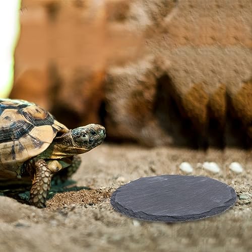 POPETPOP Turtle Basking Platform -2pcs Reptile Basking Rock Turtle Resting Platform Tortoise Habitat Accessories for Bearded Dragons Amphibians Leopard Gecko