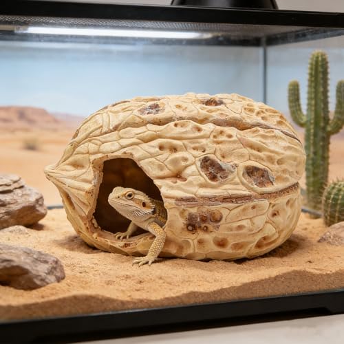 Reptile & Amphibian Habitat Hideouts, Resin Walnut - 7.09 × 4.92 × 3.94 inch Realistic Large Walnut Shape Habitat Decor, 2-Entrance Safe Hide for Leopard Gecko Bearded Dragon Snake