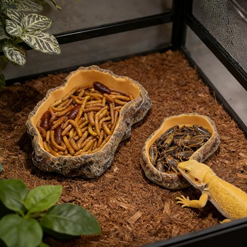 Reptile Food Dish, Terrarium Water Bowl, Feeding Bowl for Reptile Amphibian Pets (Large) - size: Medium