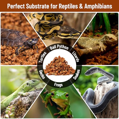 Riare 6 Pack Natural Coconut Chip Substrate for Reptiles- Compressed Coconut Husk Reptiles Bedding, Coco Husk Chip Terrarium Substrate for Snakes, Tortoises, Ball Python, Frogs, Bearded Dragon, Lizard - color: 6 Pack