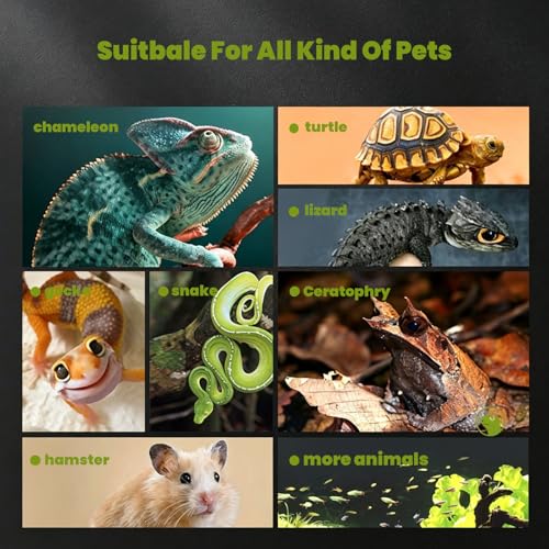 10 Gallon Glass Reptile Tank 20"x12"x10" – Bearded Dragon Tank, Leopard Gecko Tank, Snake Cage, Turtle Tank, Frog Tank, Reptile Enclosure - size: 20*12*10in