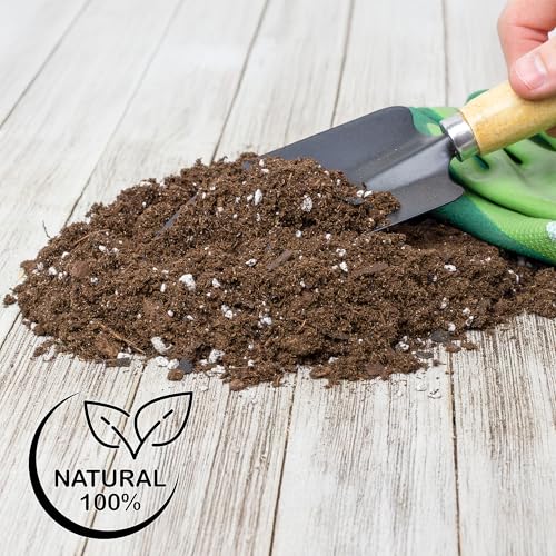 Soil Sunrise Fern Plant Potting Soil Mix (8 Quarts) Custom Hand Blended Mixture for Indoor/Outdoor Container Gardening