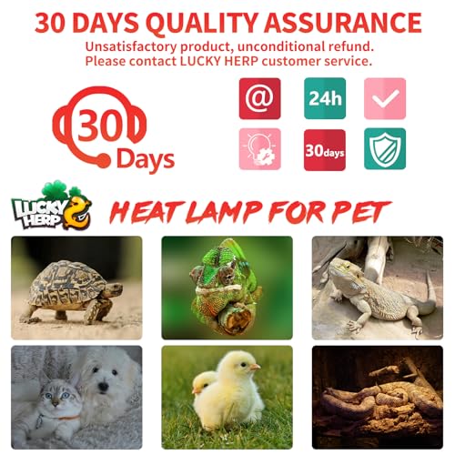 LUCKY HERP Reptile Heat Lamp - 100W Ceramic Heat Emitter Reptile Heat Lamp Bulbs (1 Pack), No Light Ceramic Heat Bulb, Heat Lamp for Reptiles Amphibian Chicken Pet Brooder Coop Lizard Turtle - color: Ceramic Heat Emitter, size: 100W 1-Pack