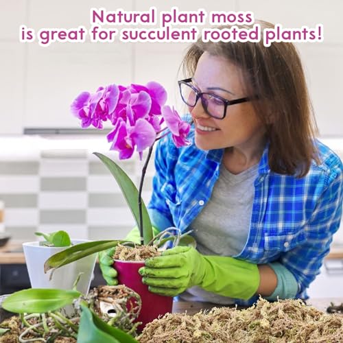 Riare 3.5 OZ Premium Sphagnum Moss for Plants- 4QT Natural Long Fiber Sphagnum Peat Moss Dried, Plants Moss Orchid Potting Mix for Orchids Repotting, Carnivorous Succulent Potted Plants and Reptiles - size: 4QT/3.5oz