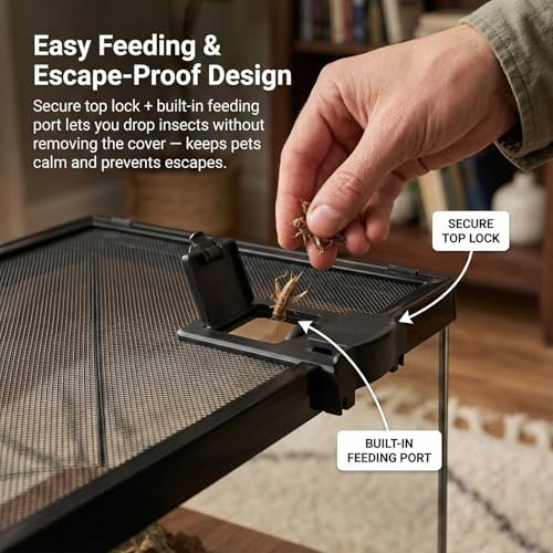 Small Glass Reptile Enclosure,8x8x6 Tarantula Enclosure with Lockable Sliding Screen Top - Full View Insects Breeding Box Small Amphibians Cage for Leopard Gecko, Frog, Hermit Crab, Isopods - color: Glass, size: 8x8x6