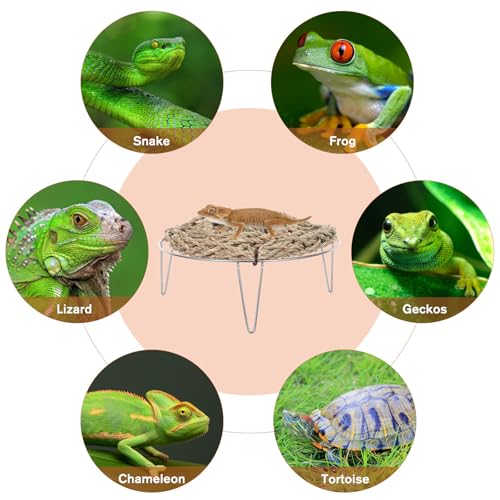 Toyvian Bearded Dragon Hammock Bed 7.3 Inch Straw Woven Elevated Reptile Sleeping Bed with Metal Legs for Small Reptiles Habitat Decor Basking Platform