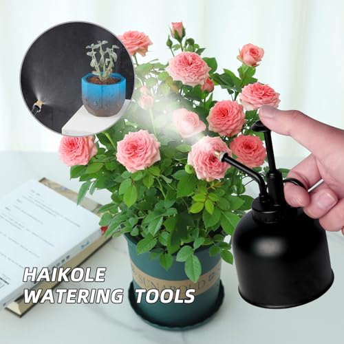Metal Stainless Plant Misters for Inside,Succulent Watering Bottle With Top Pump, Small Plant Sprayer Mister Watering Can for Indoor Outdoor House Plant,Black Plant Spray Bottle (A-Black)