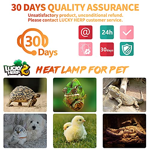 LUCKY HERP 75W Ceramic Heat Emitter, Reptile Heat Bulbs, Ceramic Heat Lamp for Reptiles, Amphibian, Chicken, Dog, Cat (2-Pack) - size: 75