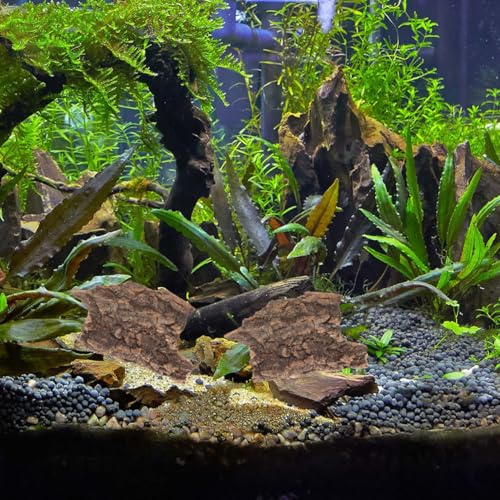 Abaodam 10Pcs Natural Cork Bark Reptile Tree Bark Decor for Terrarium with Turtle Basking Platform and Lizard Climbing Habitat Accessories 3.93X3.54X0.19In