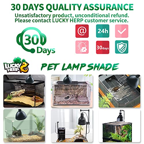 LUCKY HERP Aluminum 5.5inch Shallow Dome Reptile Light Fixture, Reptile Heat Lamp Fixture for UVB Bulb Basking Heat Bulb - color: Shallow Reptile Light Fixture, size: 5.5 inch Non-Adjustable