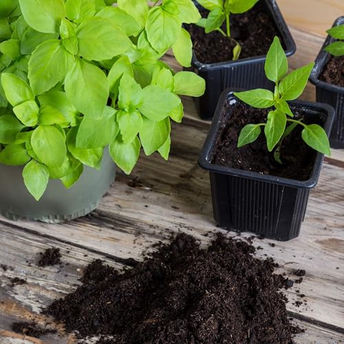 Minute Soil Eco-Friendly Coco Brick 24 Pack – OMRI Medium Expands to 36 Gal – Ideal for Seedlings, Planters, Greens, Houseplants, Raised Beds, Hydroponics, Outdoor Use - size: Bricks - 24 Pack