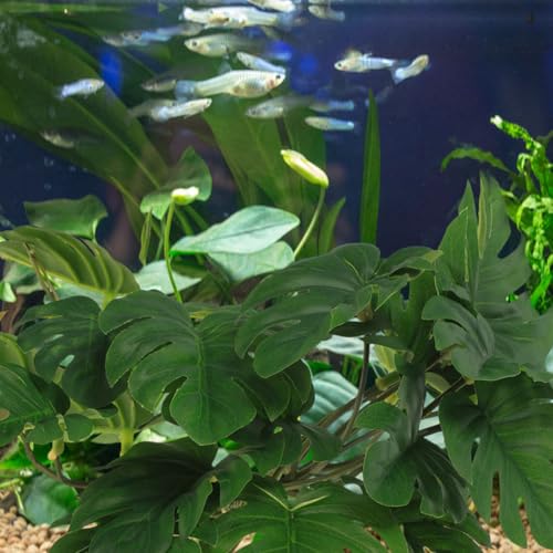 Hemoton 2pcs Hanging Reptile Plants for Terrarium with Suction Cups, Artificial Plastic Leaves 23-Leaf Monstera and Sweet Potato for Amphibian Habitat Decoration