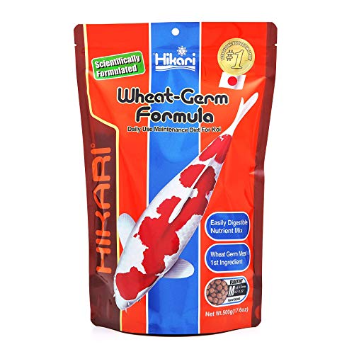 Hikari 17.6-Ounce Wheat Germ Floating Pellets for Pets, Medium