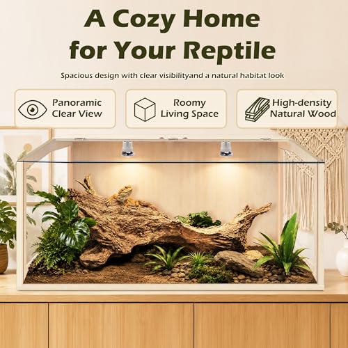 PROLEE Bearded Dragon Tank, Lizard Tank with Clear Tempered Glass, Anti-Scratch Reptile Enclosure, Reptile Tank Built-in Light Fixtures with Switch (32X16X16inch,34 Gallon) - color: Transparent Roof, size: 32X16X16inch,34 Gallons