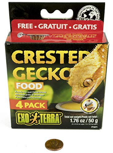 Hagen Exo Terra Crested Gecko Food (Includes 4 Individual Prepared Cups)