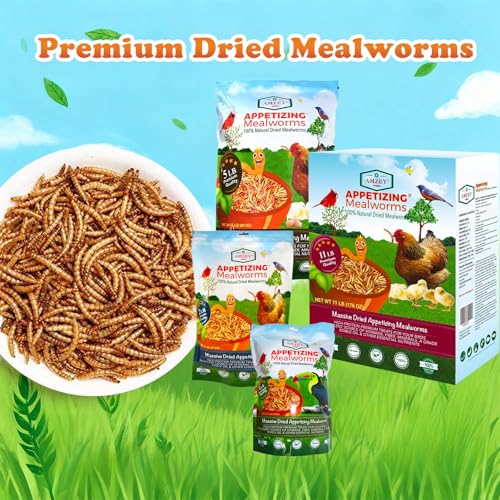 Amzey Dried Mealworms 11 LBS - 100% Natural for Chicken Feed, Bird Food, Fish Food, Turtle Food, Duck Food, Reptile Food, Non-GMO, No Preservatives, High Protein and Nutrition - size: 11 Pound (Pack of 1)