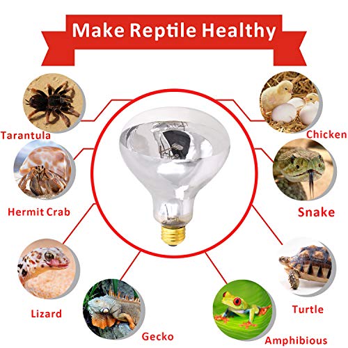 Aiicioo UVB Reptile Light 100W - UVB Light Bulb for Reptile Mercucry Vapor Bulb Heat Basking Lamp Bulb Full Spectrum UVA UVB All in One Sun Lamp for Bearded Dragon Lizard Turtle - style: Mercucry Vapor Bulb 100W