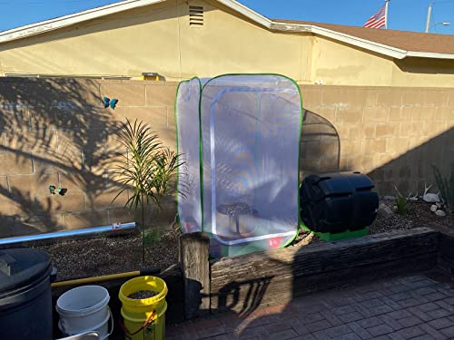36" Outdoor Mesh Plant Enclosure, Plant Cover for Pests, Bird and Pest Protection Guard for Fruit, Vegetables, Flowers and Herbs Pop-Up Cage 24 x 24 x 36 Inches - size: 24 x 24 x 36 Inches